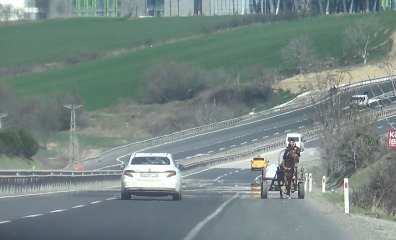 Ters Eride Giren At Arabas Korkuttu Trabzon Haber Sayfasi