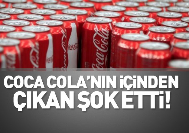 Coca Cola’da skandal: Kola kutularının içinden insan dışkısı çıktı