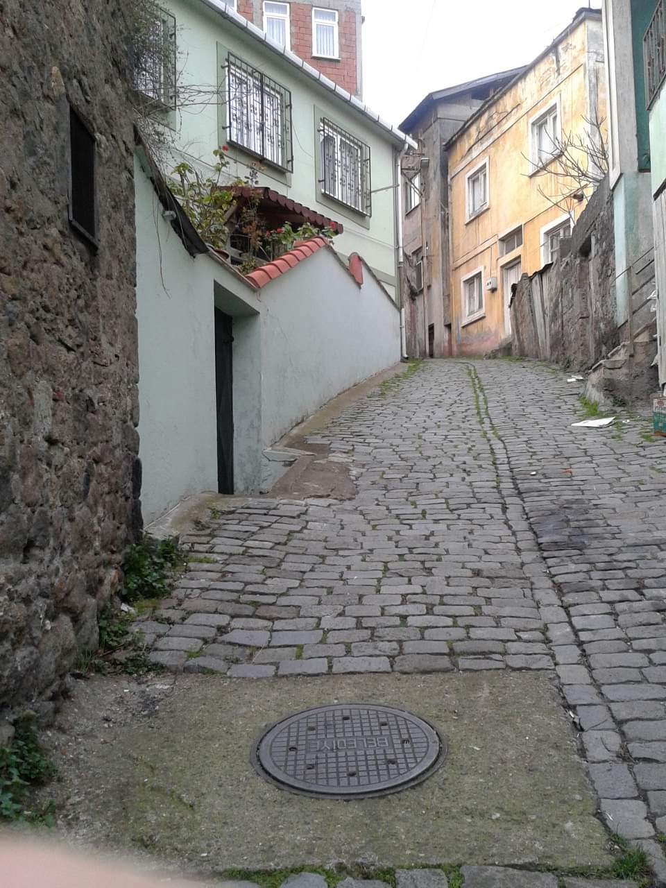 311d4987-59f9-4e65-ac19-b359a581ec81