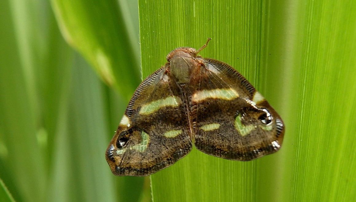 WhatsApp Image 2023-07-11 at 22.03.29