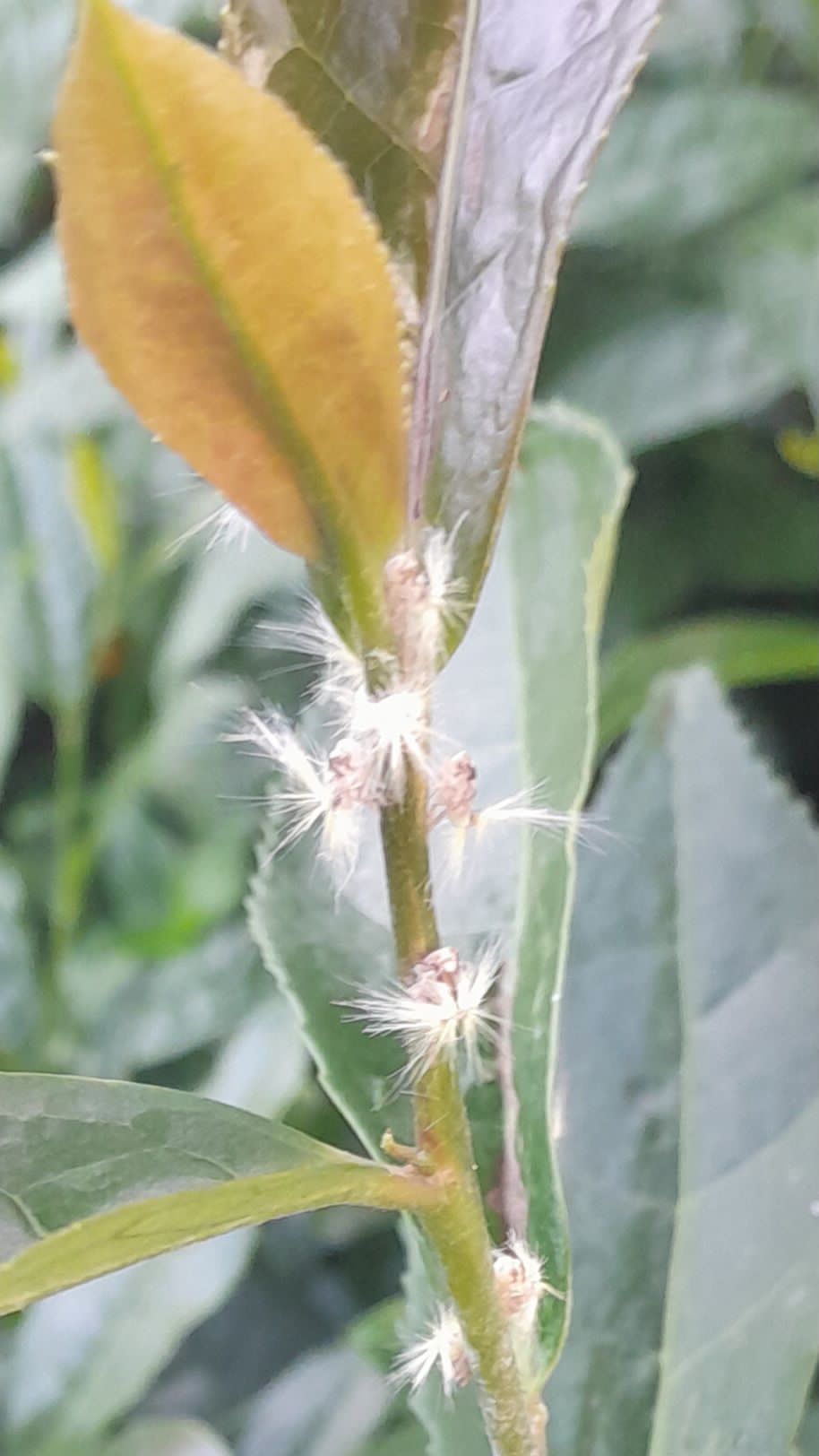 WhatsApp Image 2023-07-11 at 22.03.30