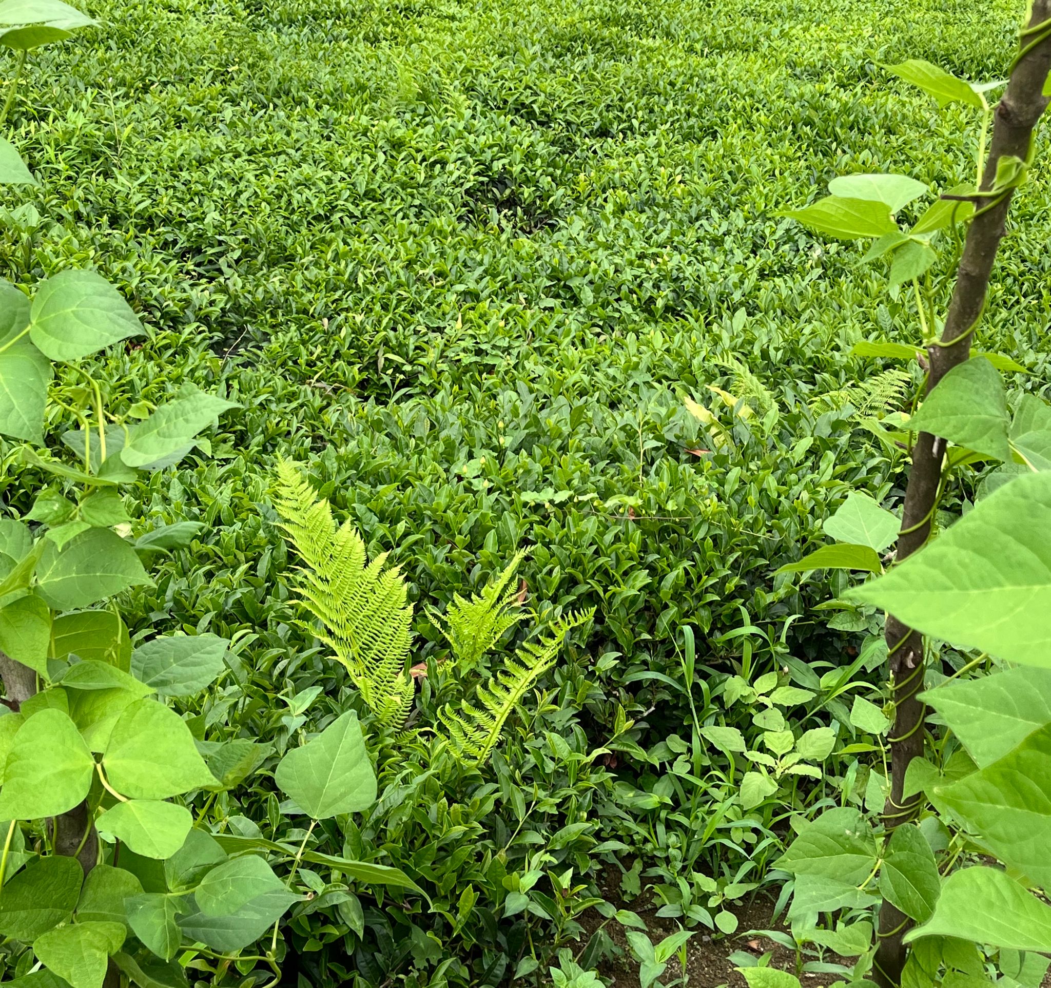 WhatsApp Image 2023-07-11 at 22.03.31 (2)