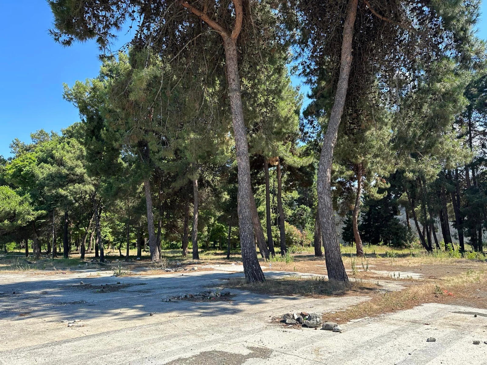 detail-photo-fancybox-1