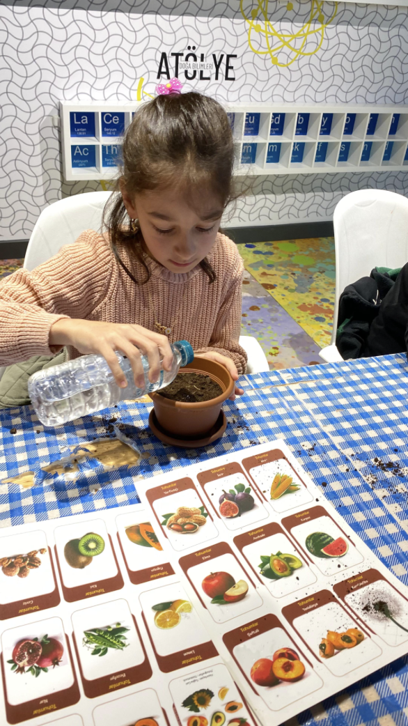 Ekran Resmi 2024 12 05 09.56.27