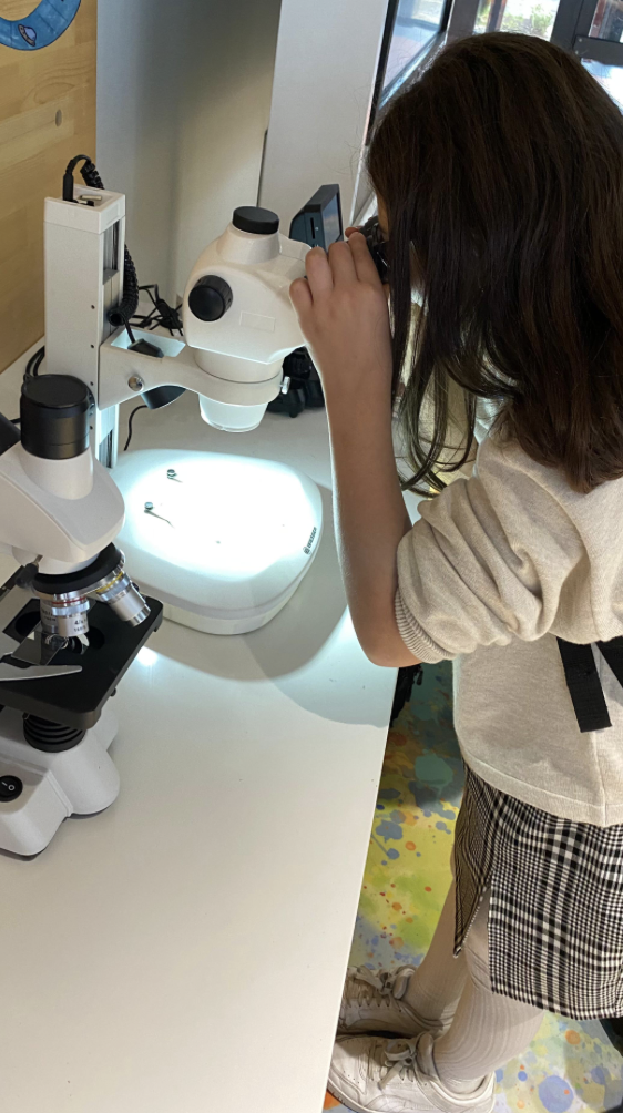 Ekran Resmi 2024 12 05 09.56.43