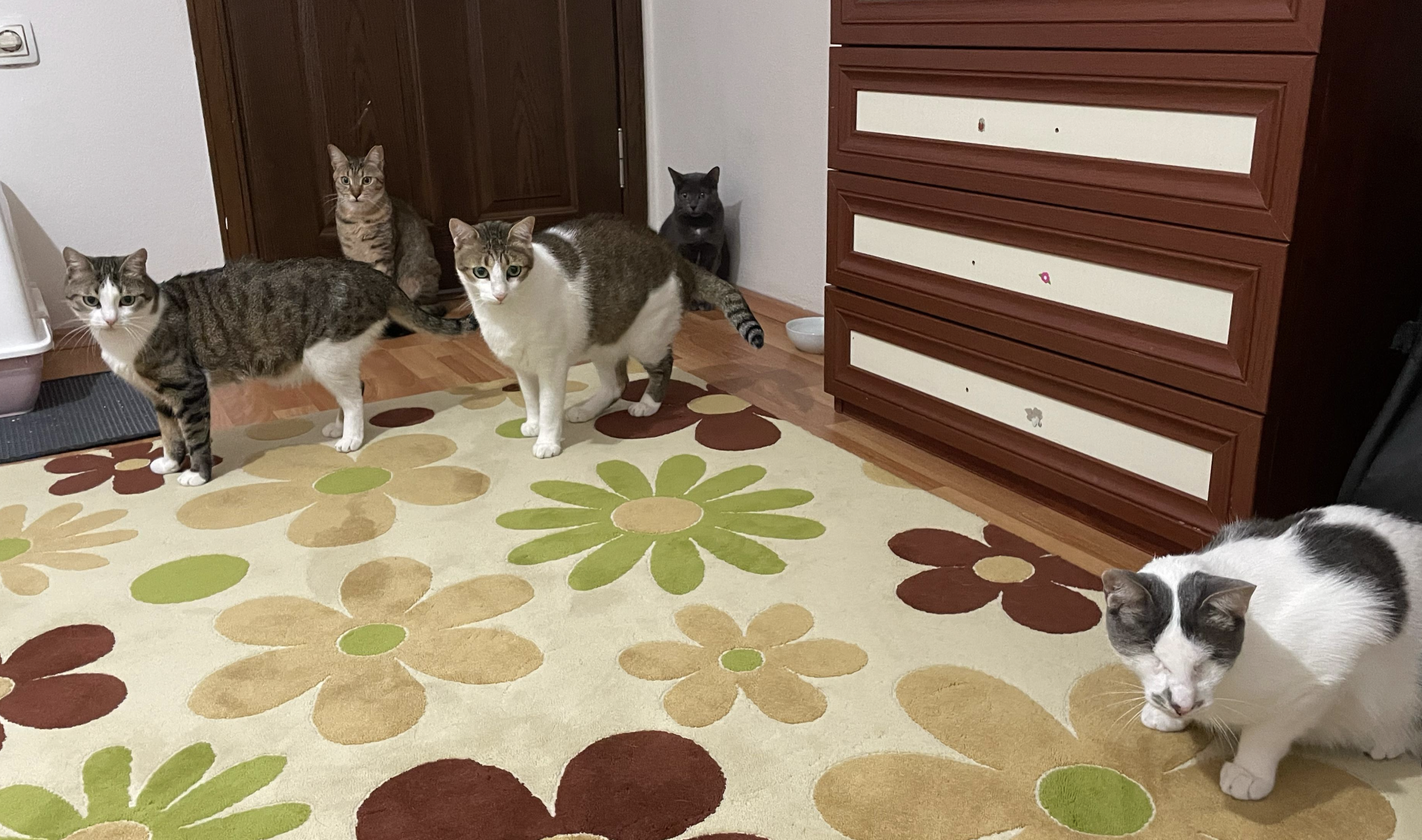 Ekran Resmi 2025 02 16 13.29.56