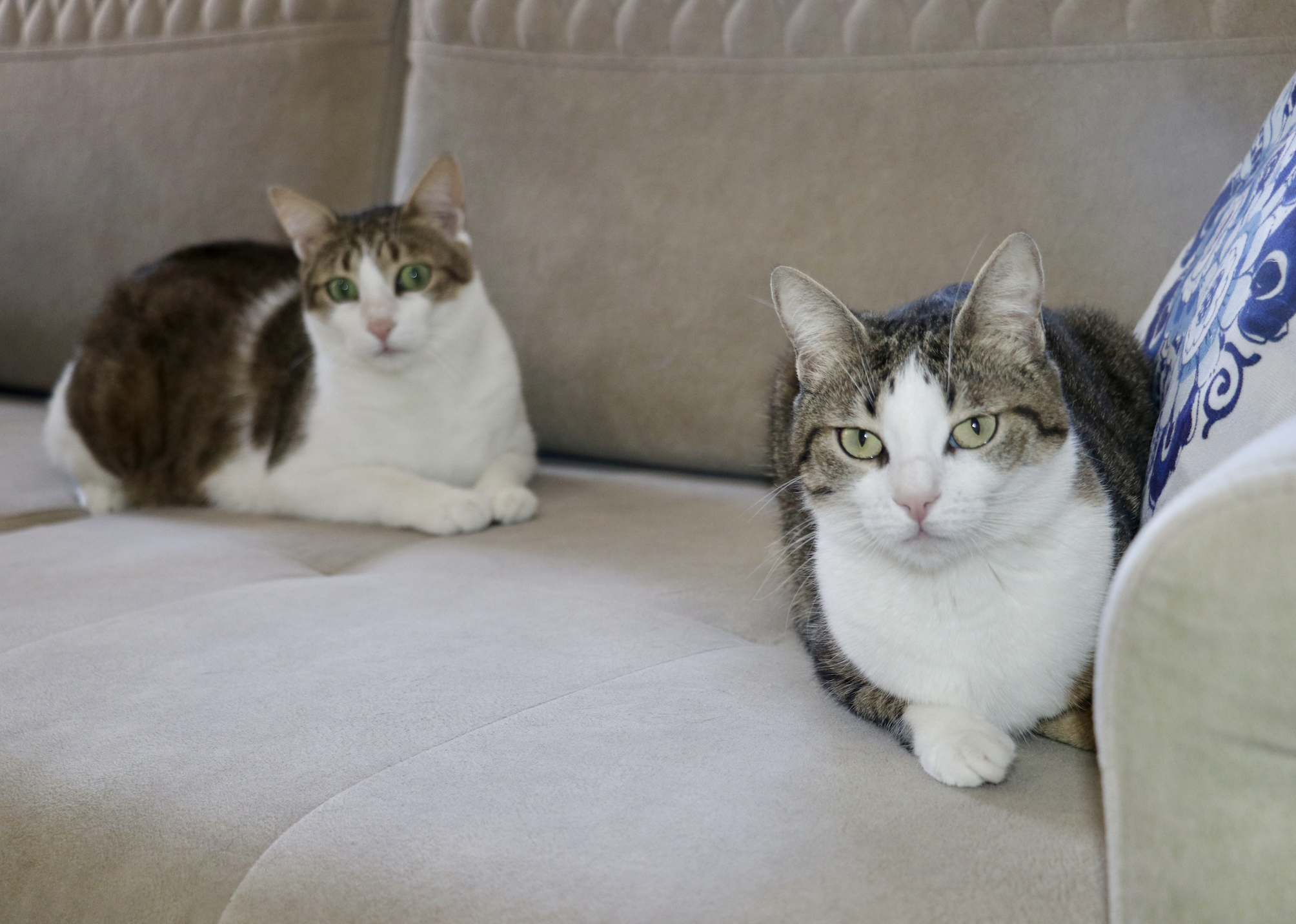 Ekran Resmi 2025 02 16 13.30.01