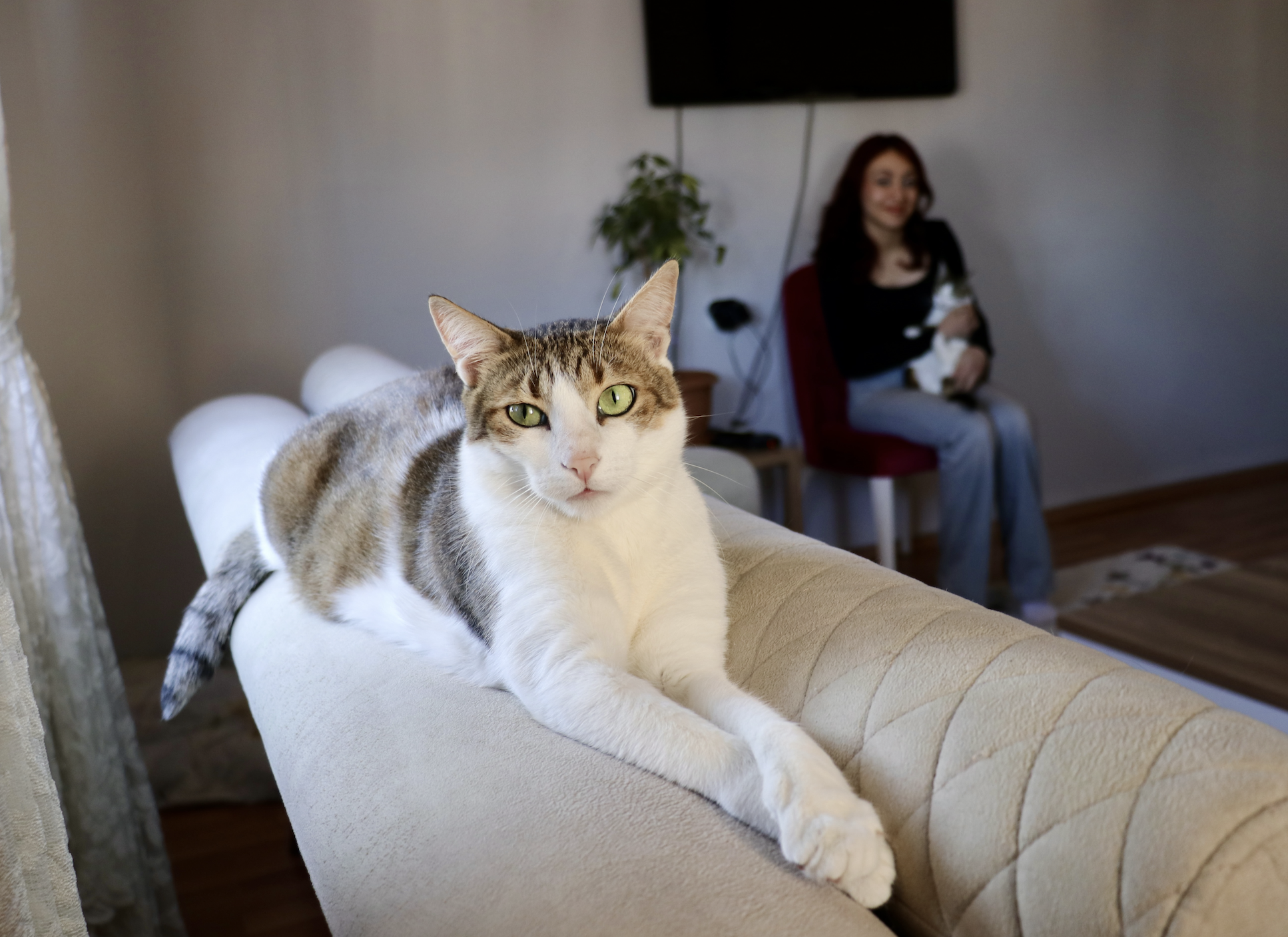 Ekran Resmi 2025 02 16 13.30.16