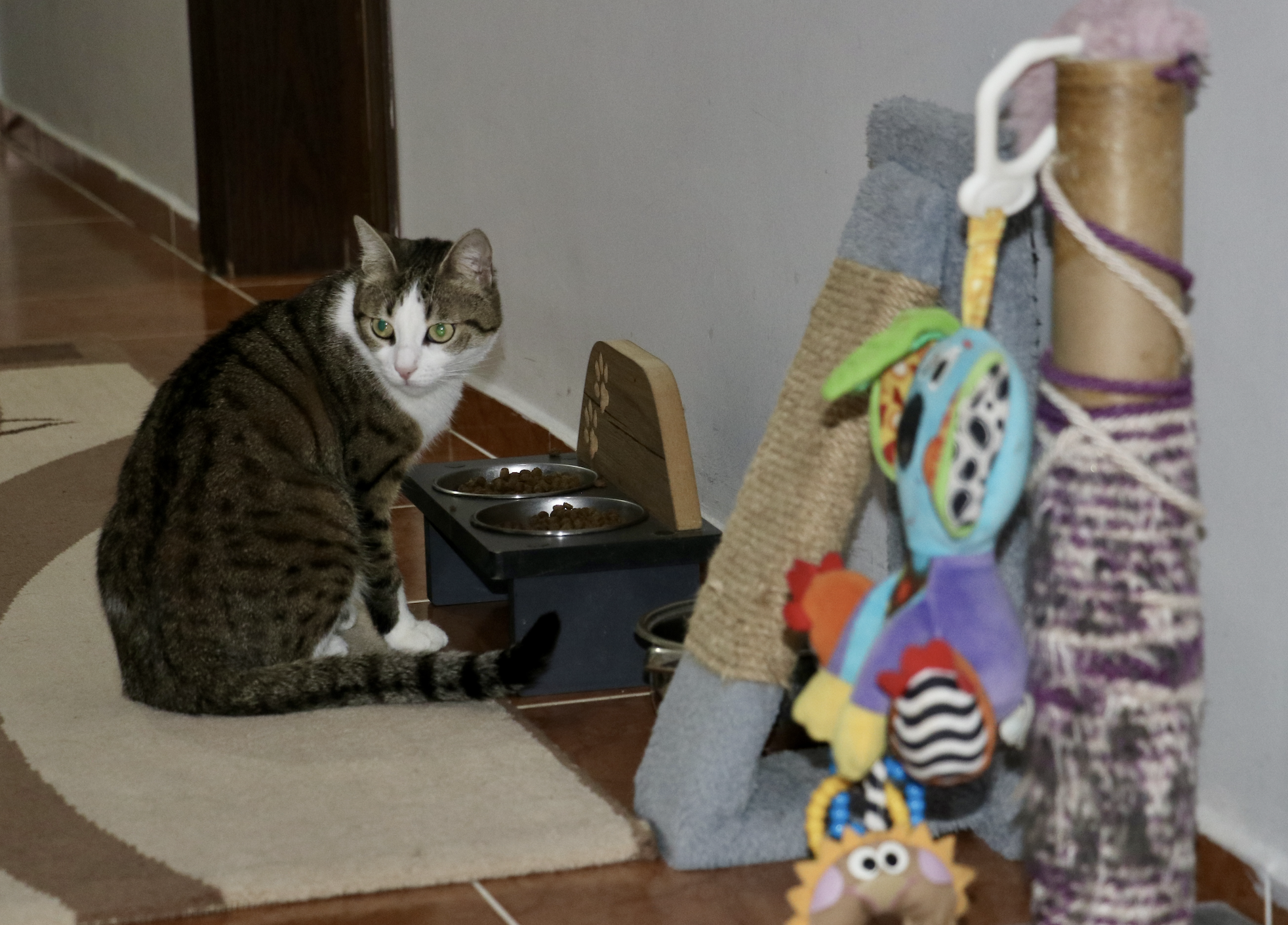 Ekran Resmi 2025 02 16 13.30.20