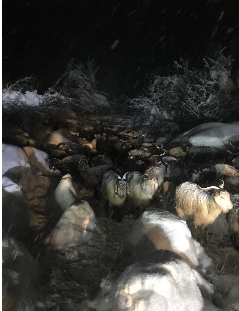 Ekran Resmi 2025 02 21 11.29.42