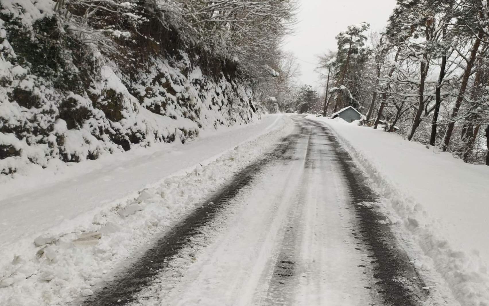 Ekran Resmi 2025 02 21 12.47.33