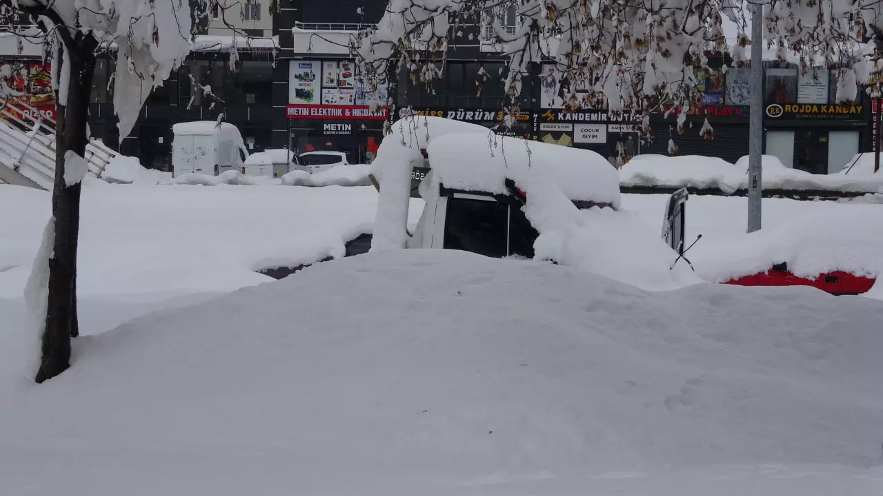 T Z O S X 1740215796 2145