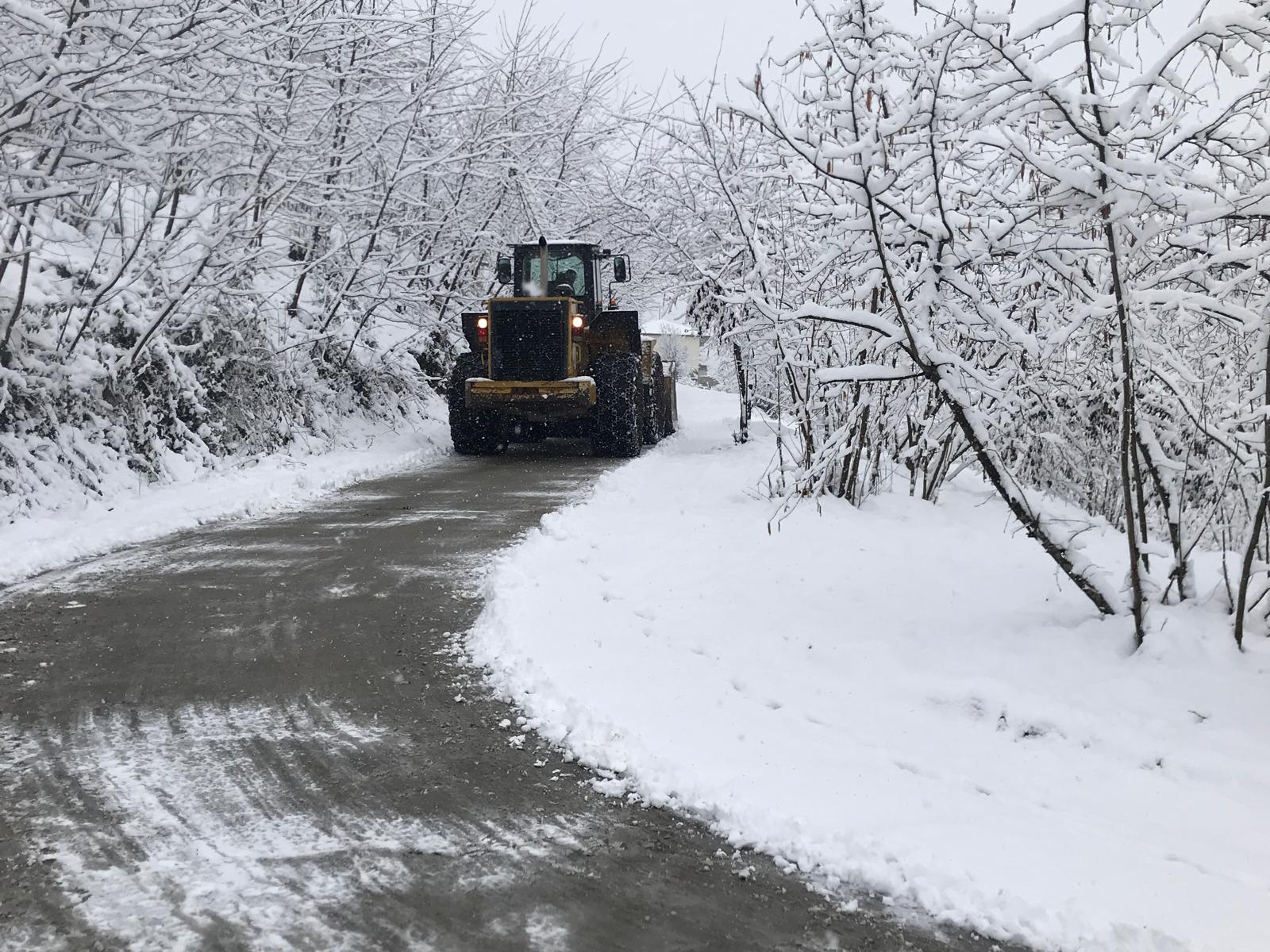 Whatsapp Image 2025 02 19 At 12.19.46