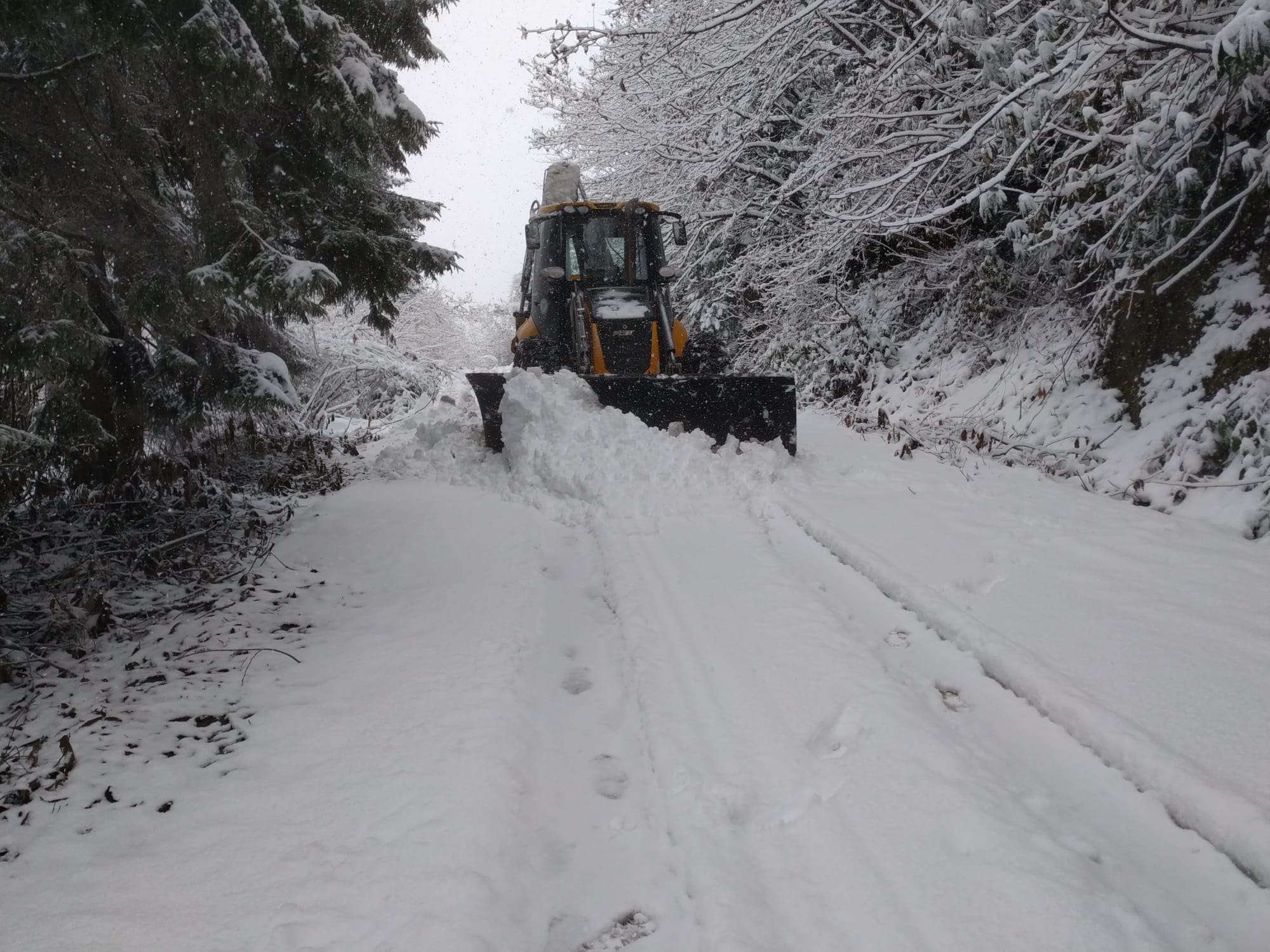 Whatsapp Image 2025 02 19 At 12.19.48