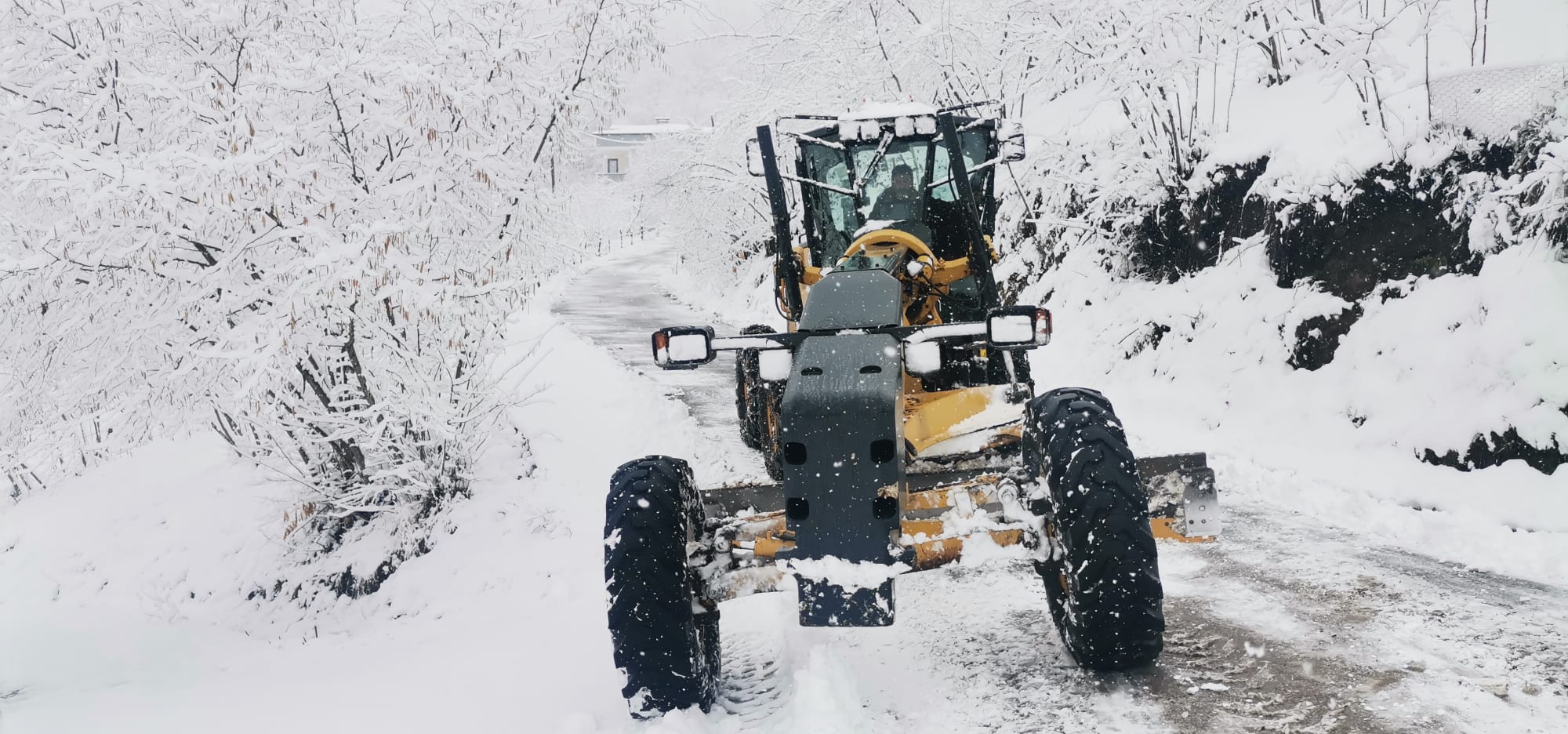 Whatsapp Image 2025 02 19 At 12.19.49