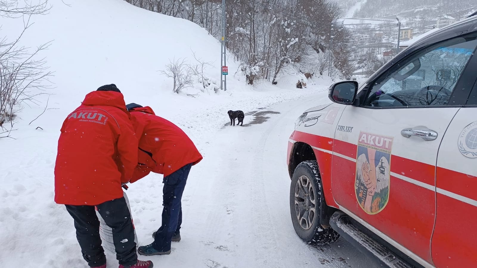 Whatsapp Image 2025 02 24 At 12.58.35