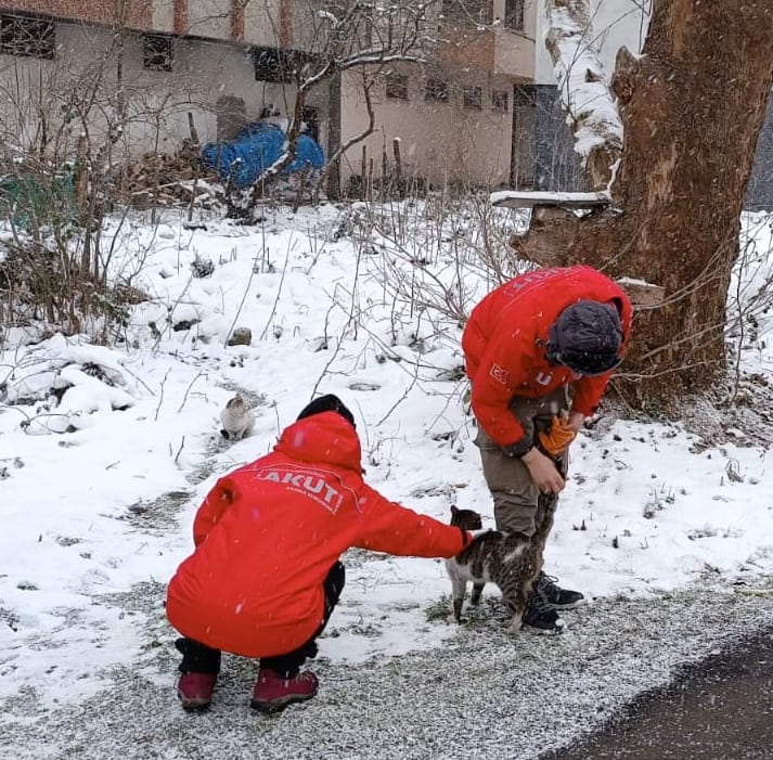 Whatsapp Image 2025 02 24 At 12.58.43