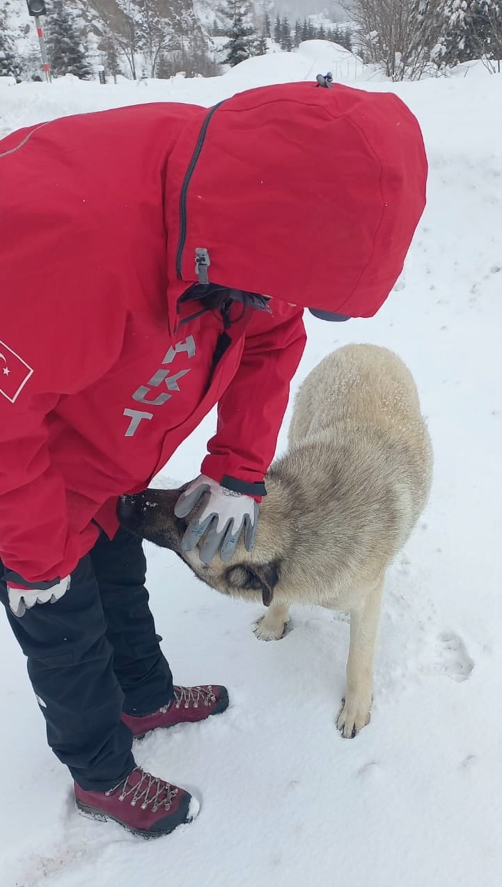 Whatsapp Image 2025 02 24 At 12.58.49