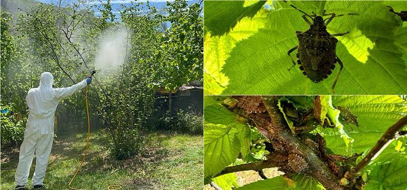 Whatsapp Image 2025 03 17 At 10.35.13 (1)