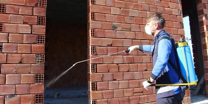 Whatsapp Image 2025 03 17 At 10.35.13