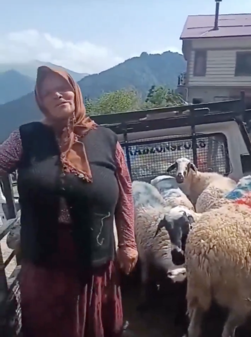 Ekran Resmi 2025 06 05 20.55.04