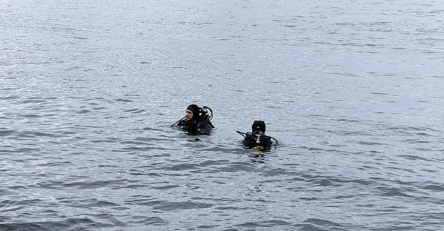 Ekran Resmi 2025 06 17 12.50.28