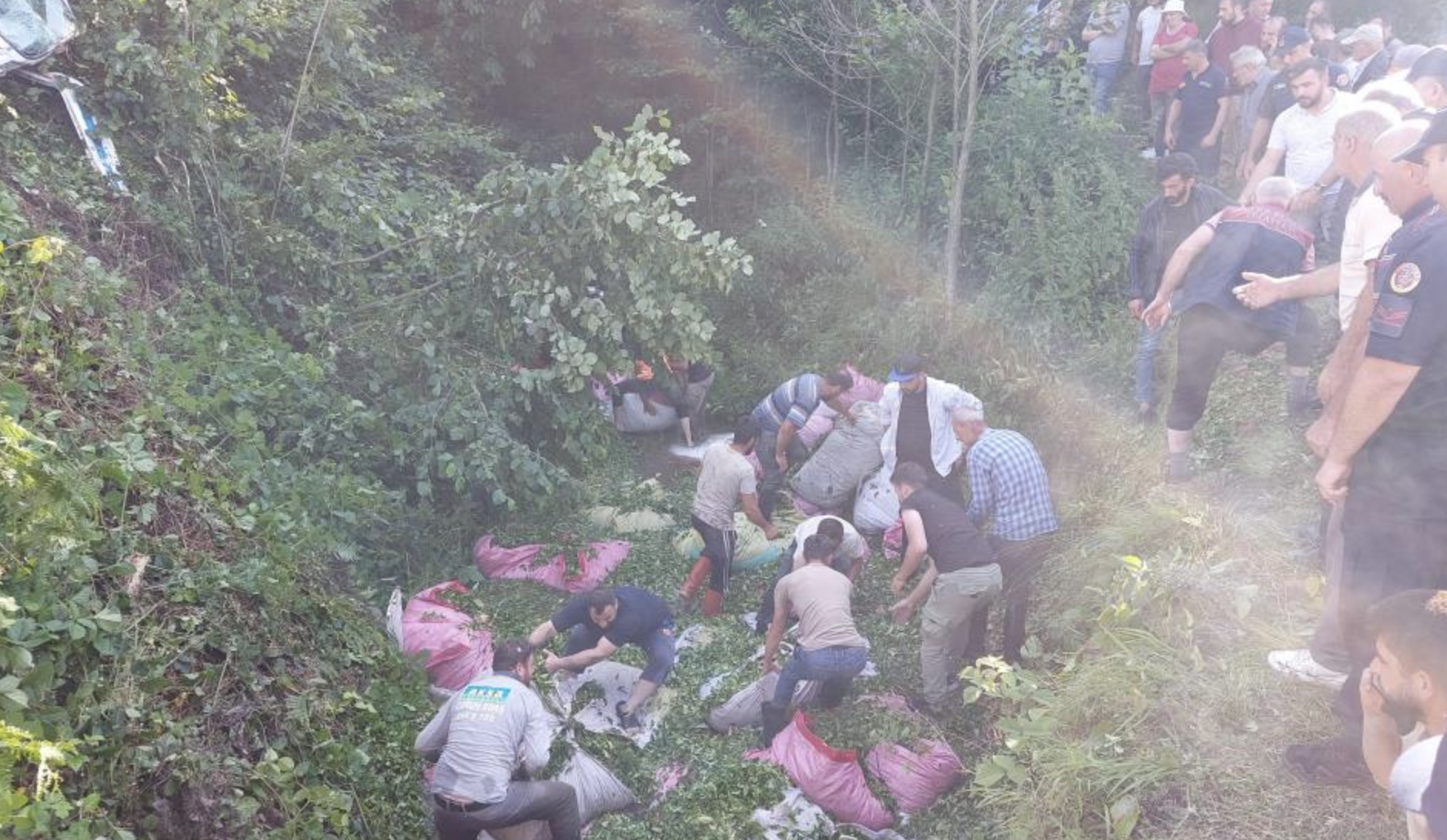 Ekran Resmi 2025 06 18 17.40.57