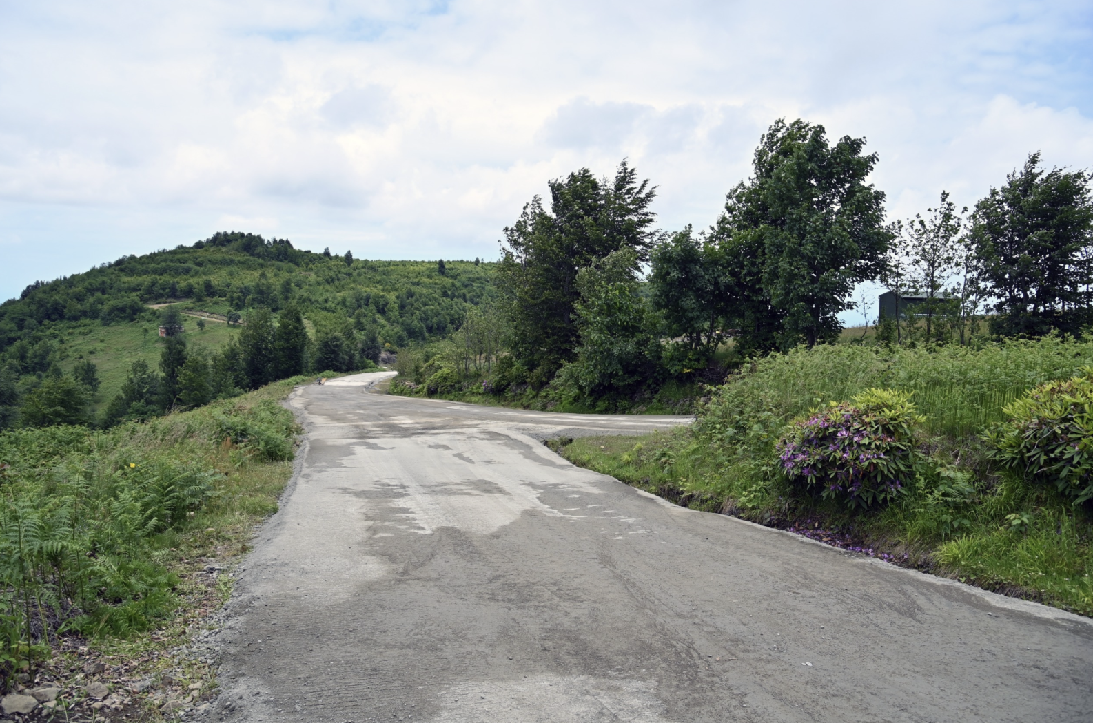 Ekran Resmi 2025 06 19 09.24.51