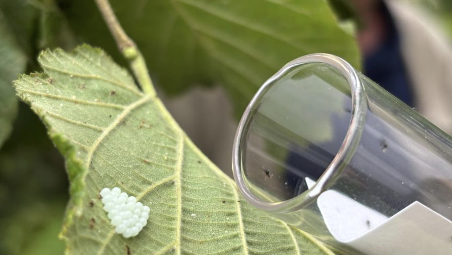 Ekran Resmi 2025 06 27 10.39.27