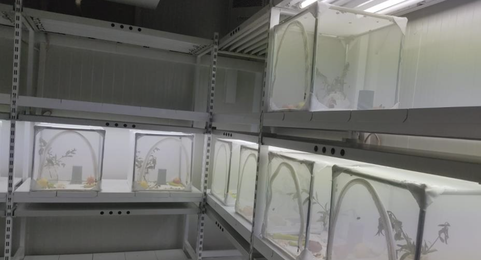 Ekran Resmi 2025 06 27 10.39.33