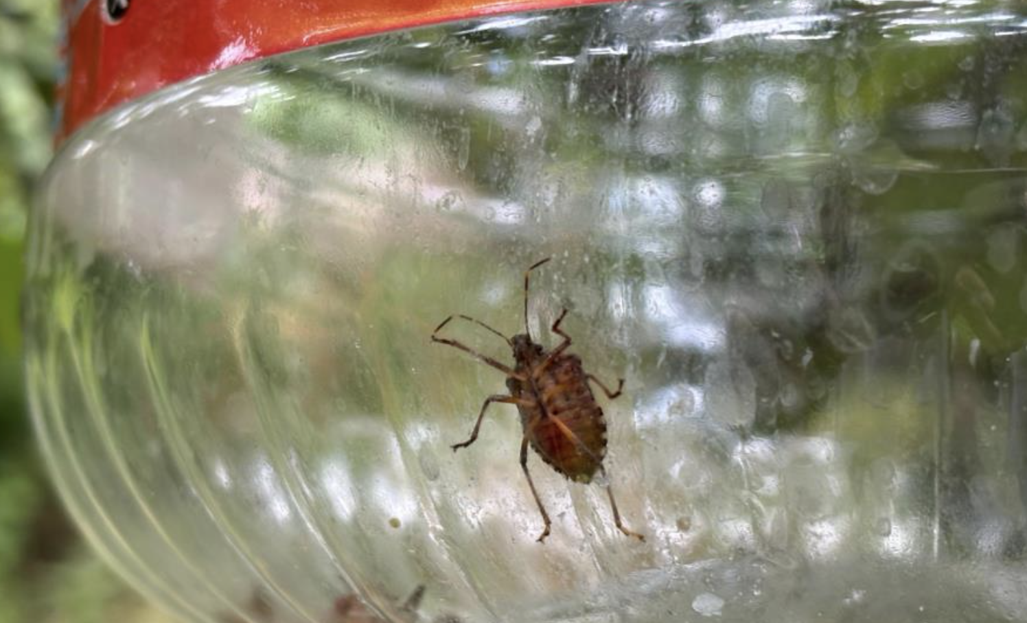 Ekran Resmi 2025 06 27 10.39.38