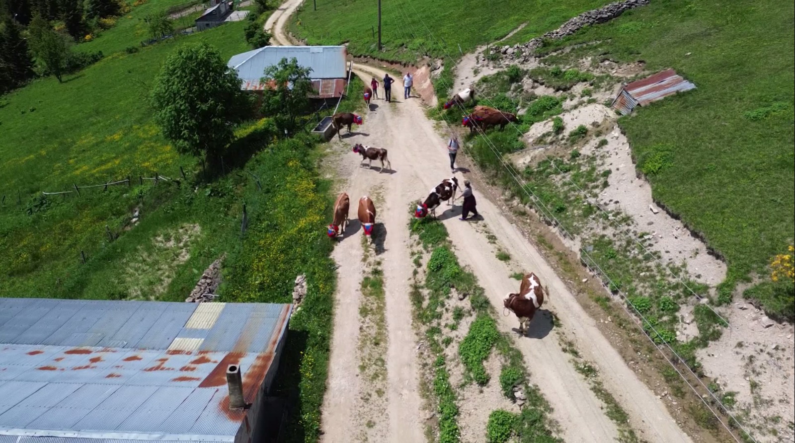 K A R A D E N I Z’ D E T U R K U L U M A N I L I R E N K L I Y A Y L A 759069 224009