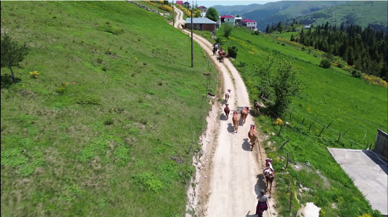 K A R A D E N I Z’ D E T U R K U L U M A N I L I R E N K L I Y A Y L A 759070 224009