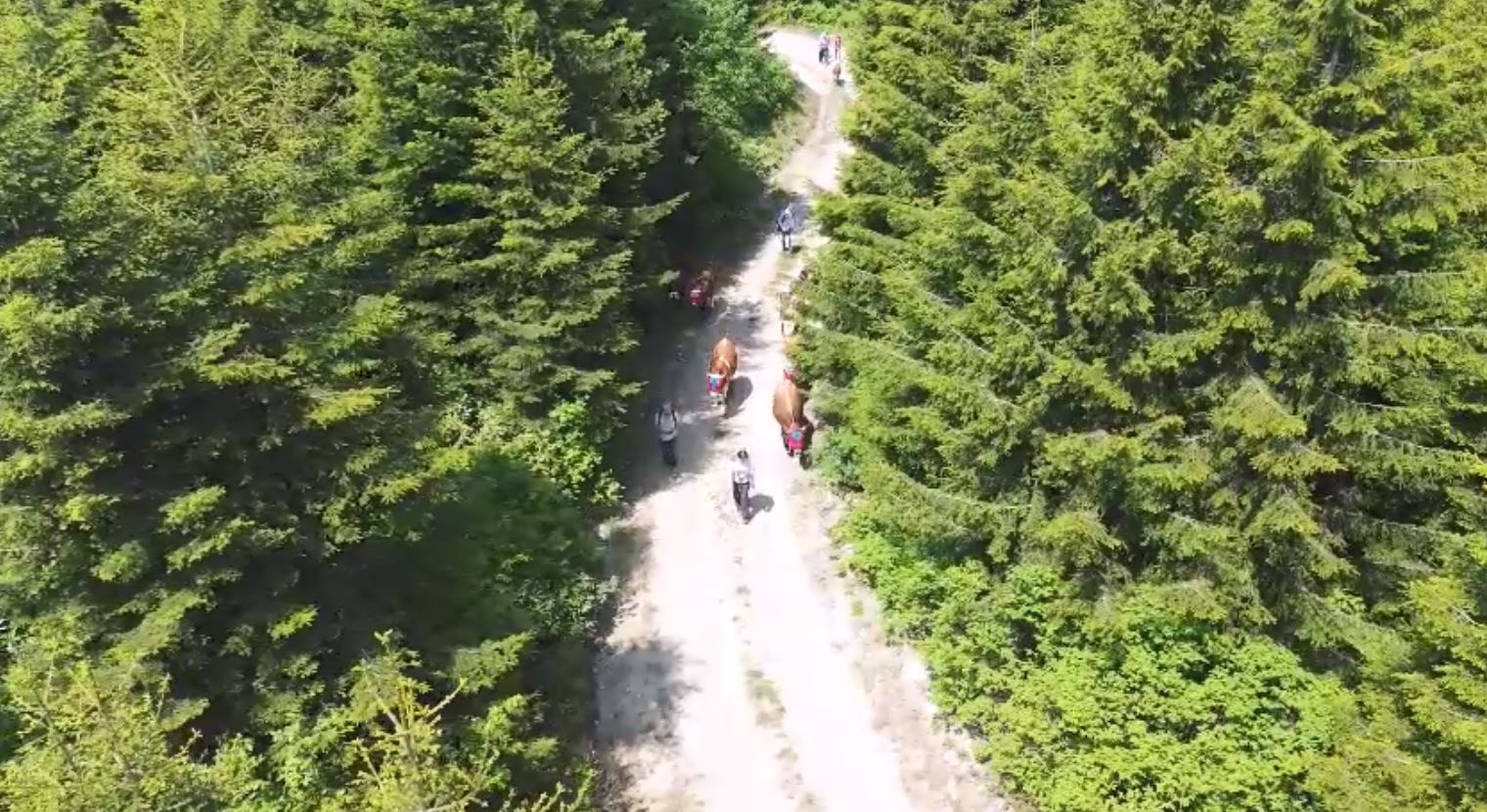 K A R A D E N I Z’ D E T U R K U L U M A N I L I R E N K L I Y A Y L A 760791 224009