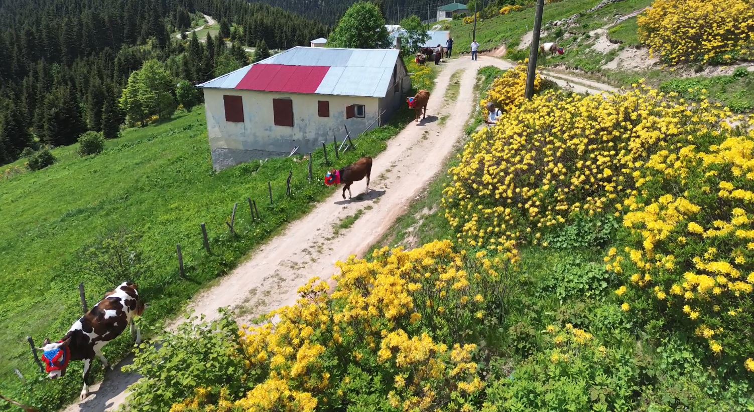 K A R A D E N I Z’ D E T U R K U L U M A N I L I R E N K L I Y A Y L A 760793 224009