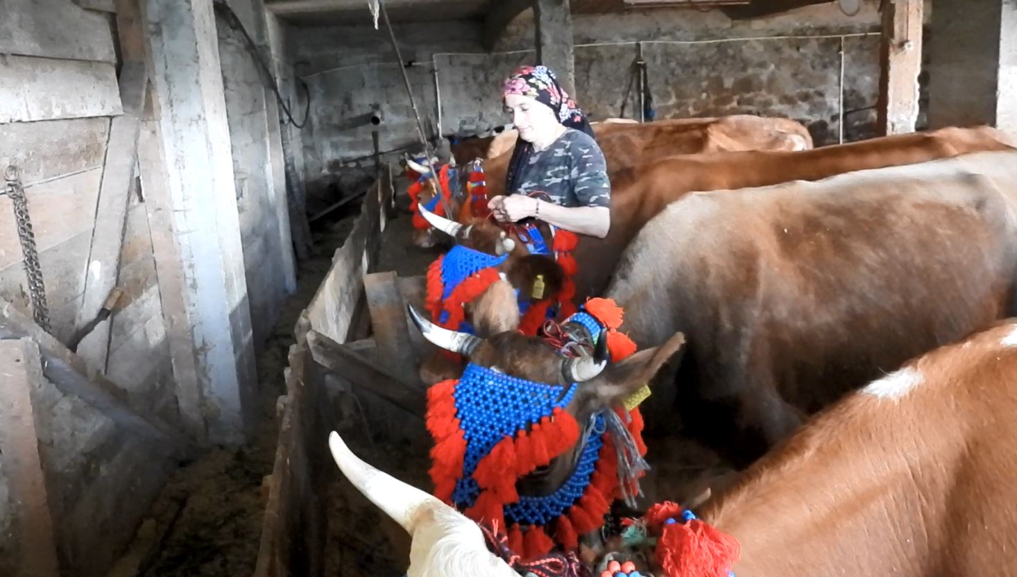 K A R A D E N I Z’ D E T U R K U L U M A N I L I R E N K L I Y A Y L A 760796 224009