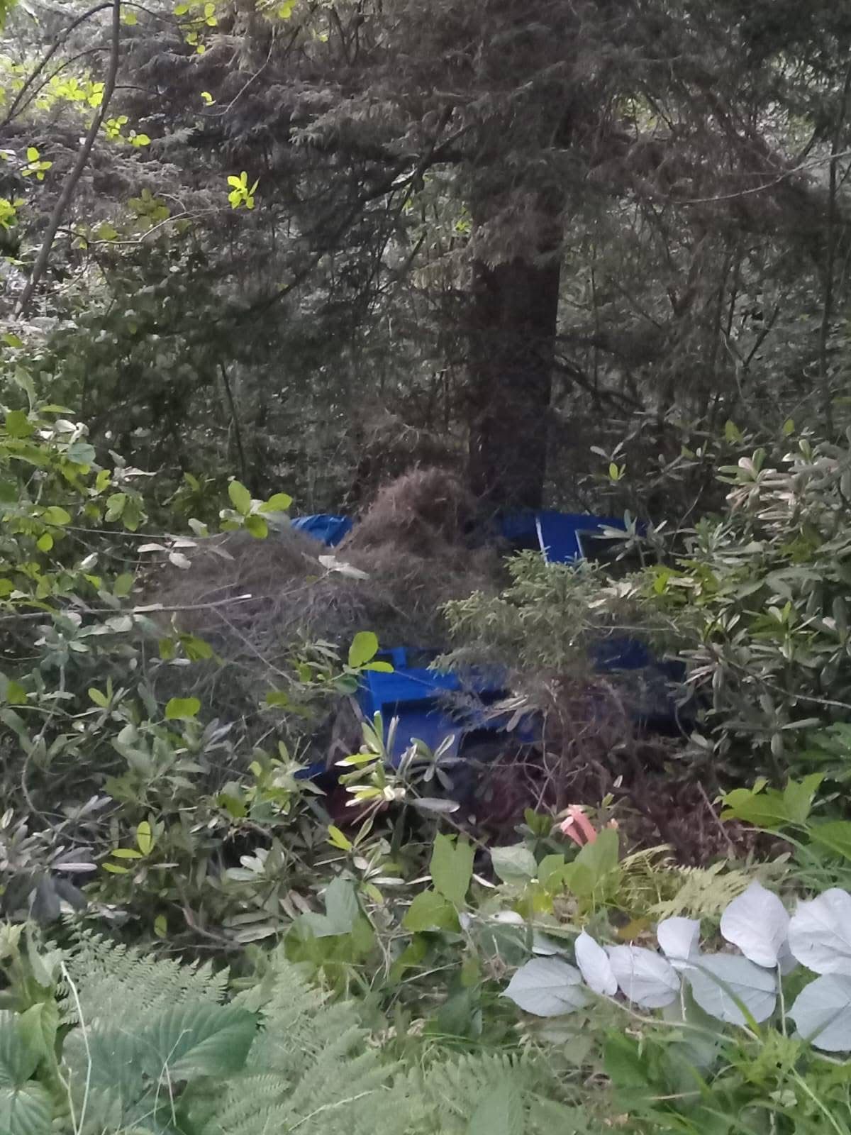 Whatsapp Image 2025 06 20 At 20.22.23