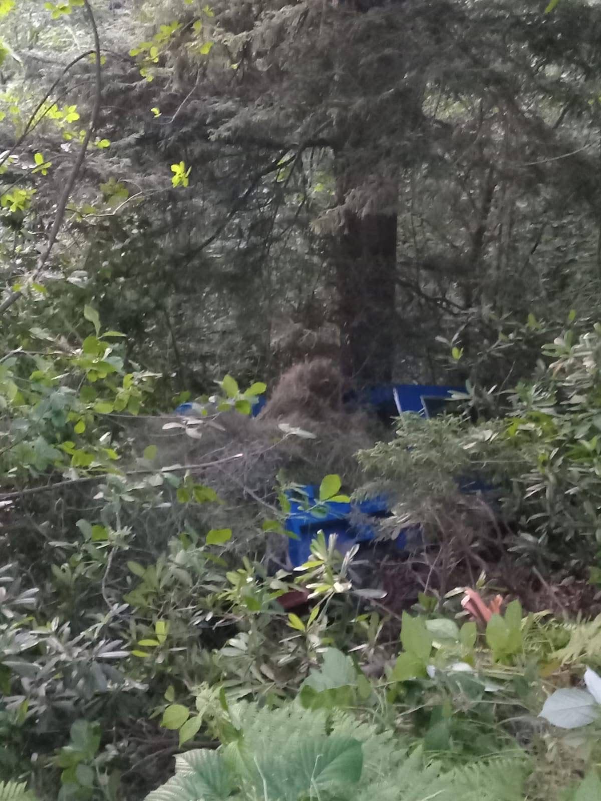 Whatsapp Image 2025 06 20 At 20.22.24