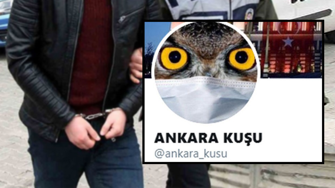 1589658810457 1585801369186 Ankara Kusu