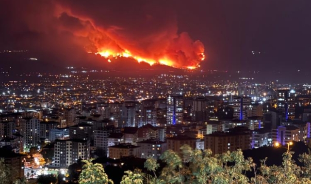 Bursa Da Orman Yangini Karahidir Mahallesi Ne Ulasti 9248
