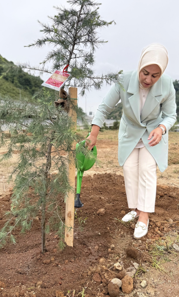 Ekran Resmi 2025 07 15 20.14.42