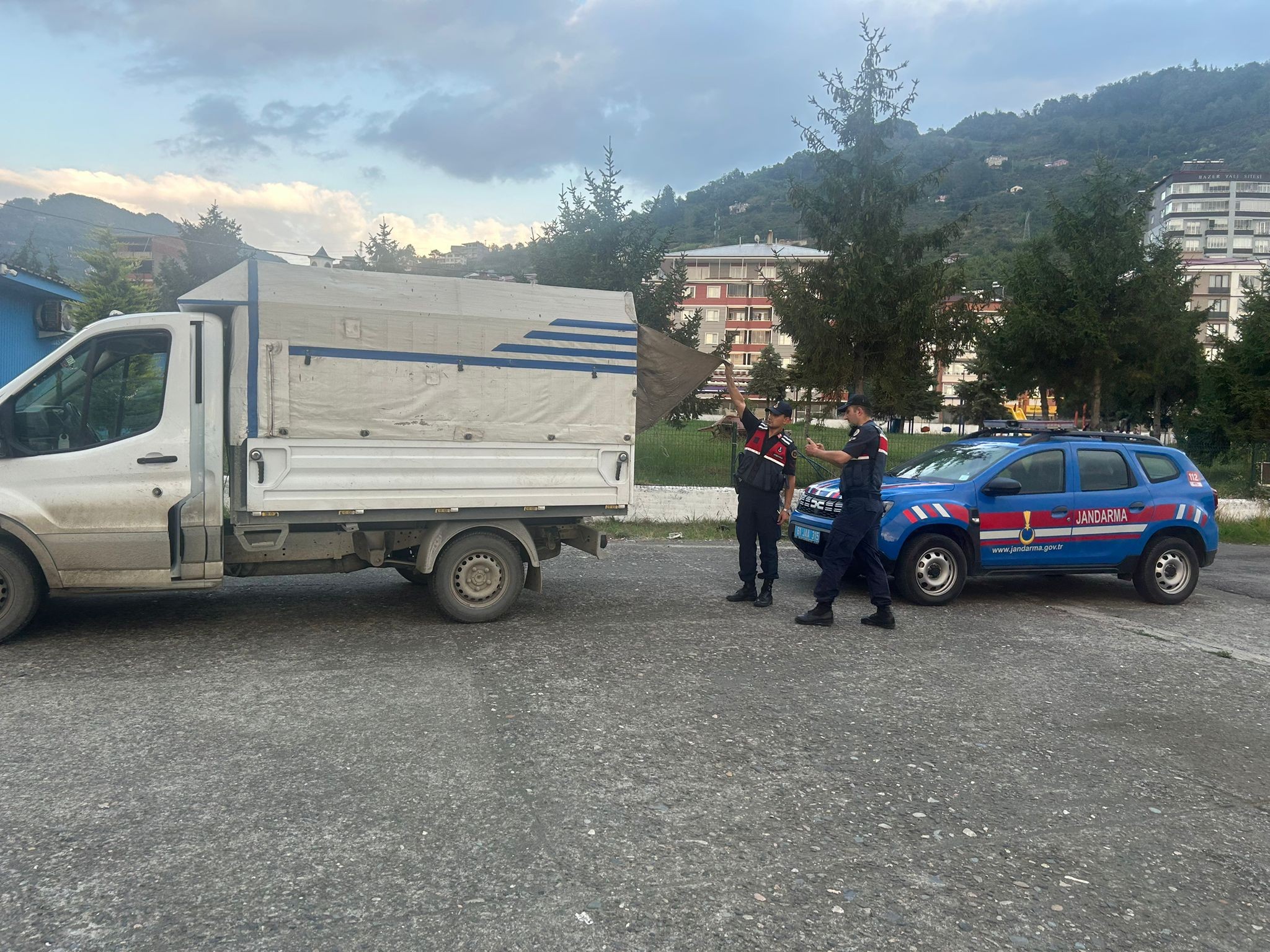 529857700 776720164747321 1724874539351171132 N