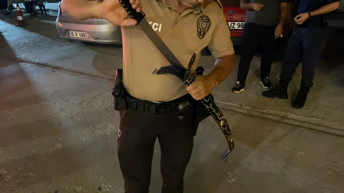 688C76Dea9010728 W1200Xh675