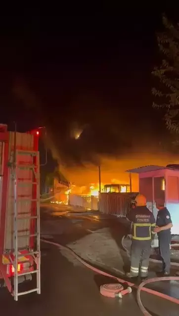 68959Fb31D4Fc6B629E48350