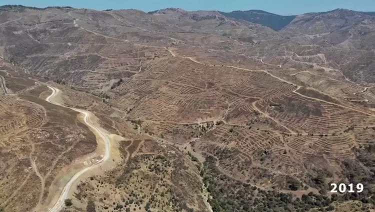 6895Bb7Dd500D97442A44Aed-1