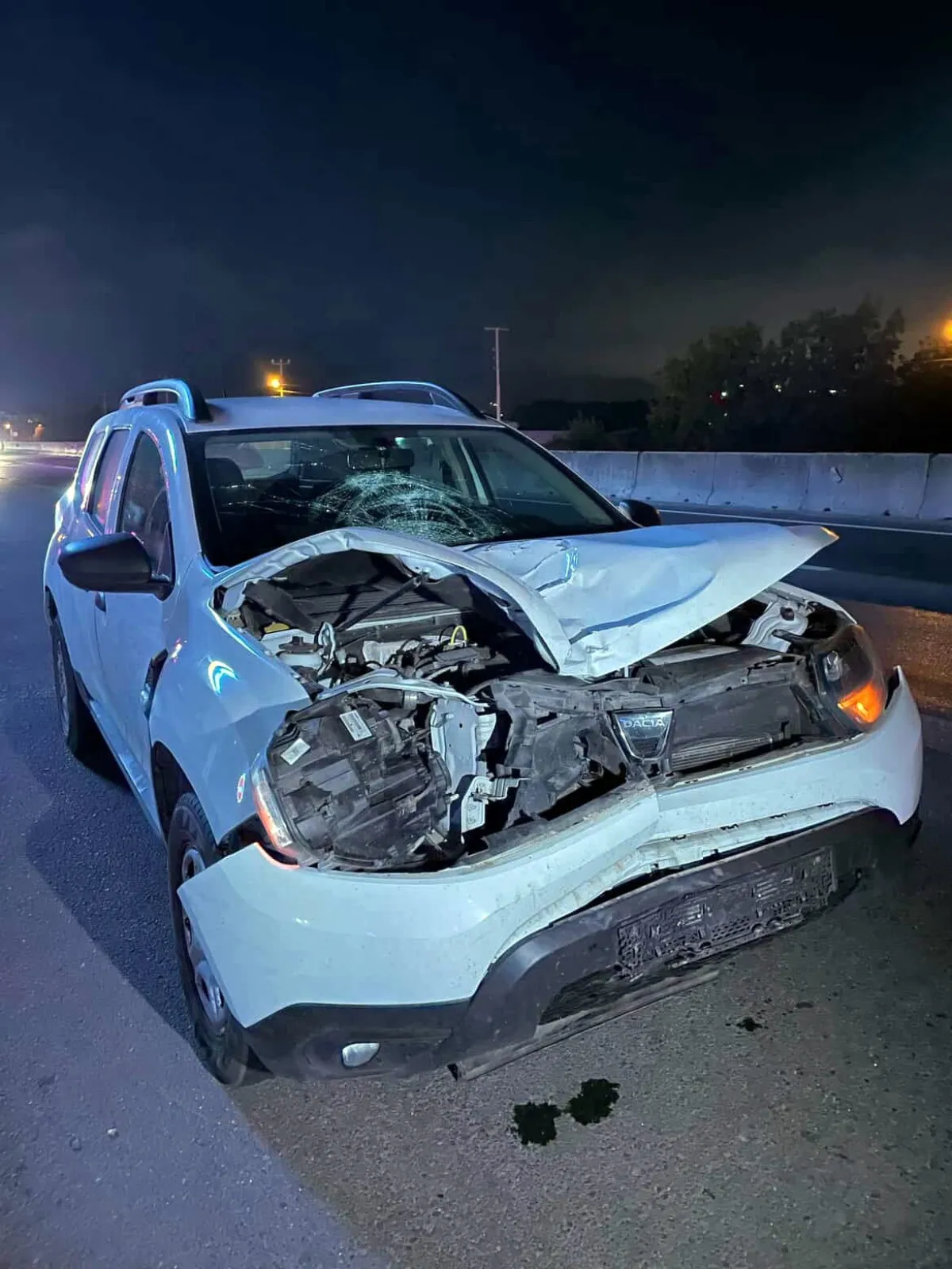 689Be77C43C0E699 W1200Xh1600