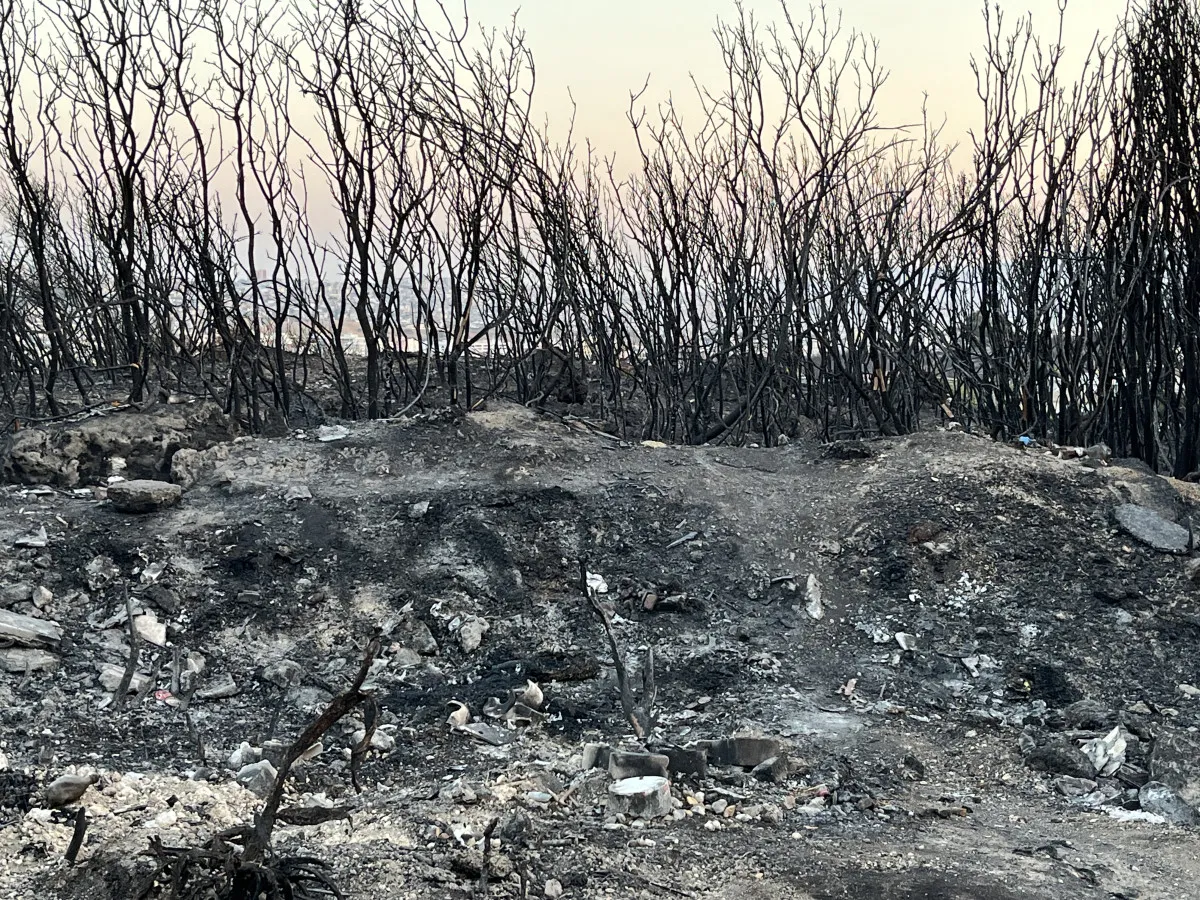 689C26B43F87C229 W1200Xh900