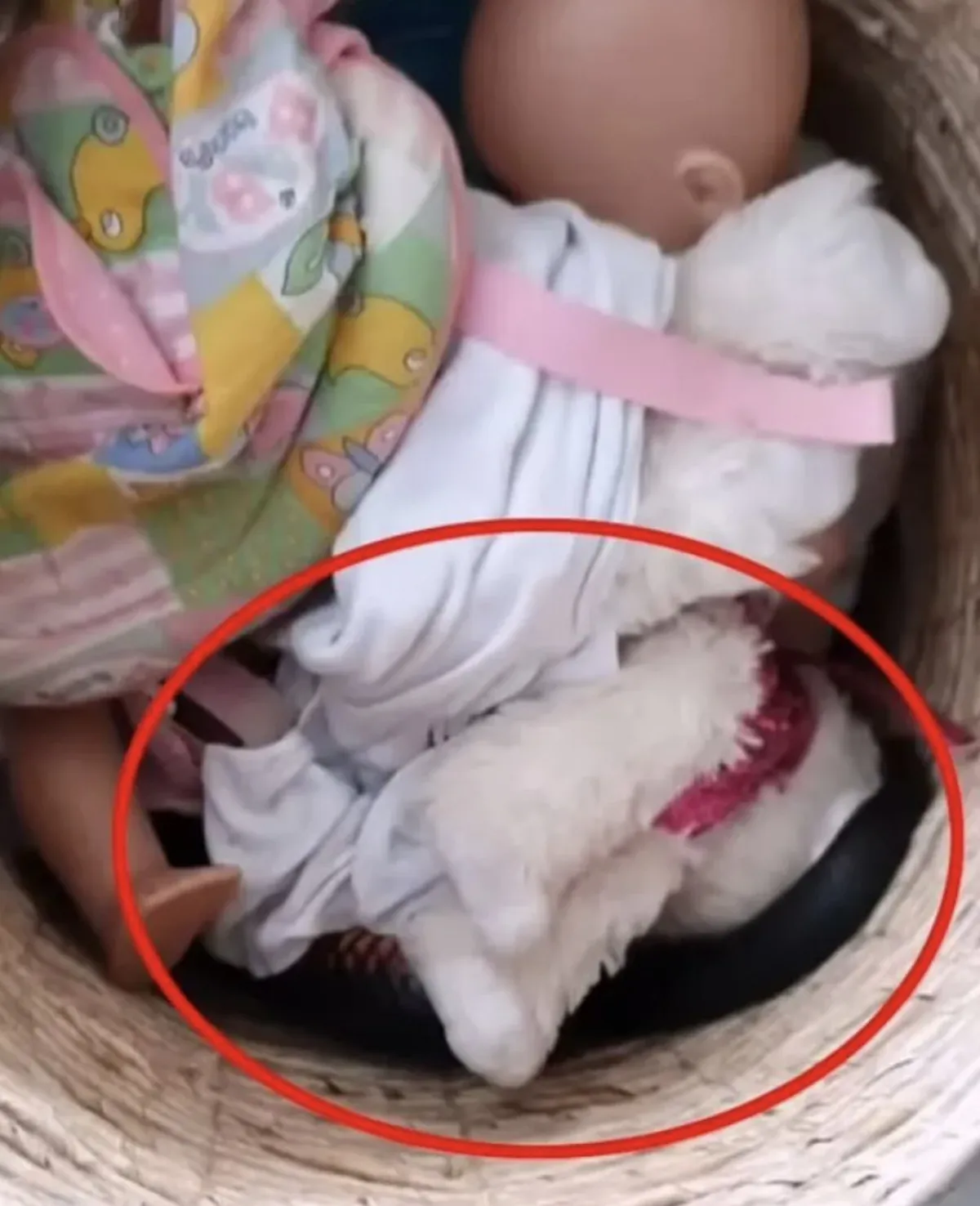 689C293A2Df60617 W1200Xh1476