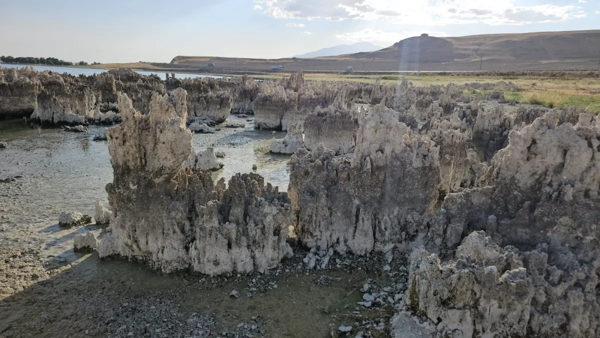 689C2A452517D421 W1200Xh675