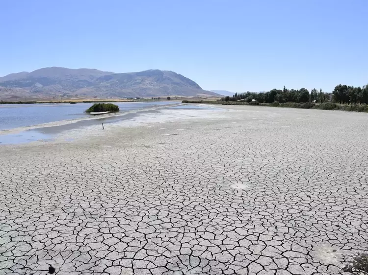 689Db5Dcc702D8872250300C